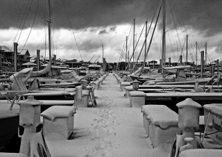 Snowy Marina