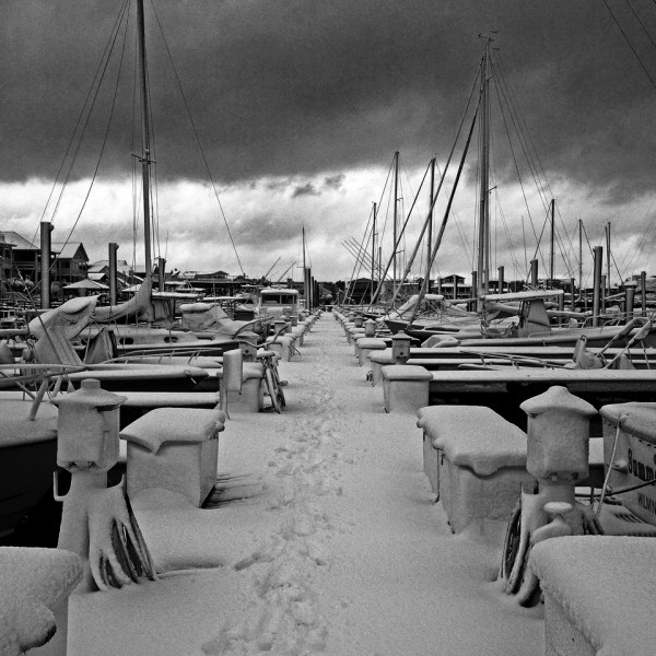 Snowy Marina