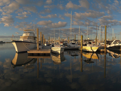 Marina Morning