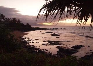 Maui Beach