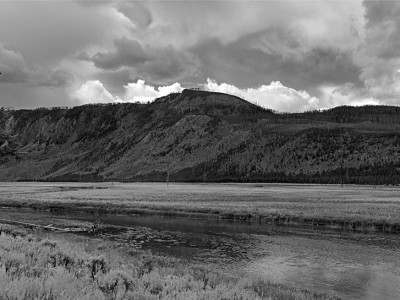 Yellowstone Fields