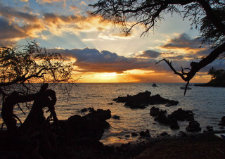 Maui Sunset